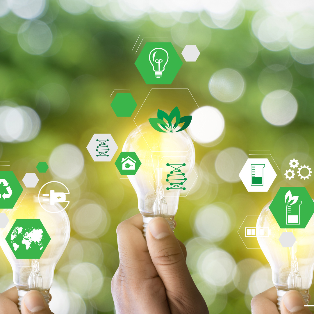 Edificios verdes en México: ¿Qué tienen en común? La certificación LEED